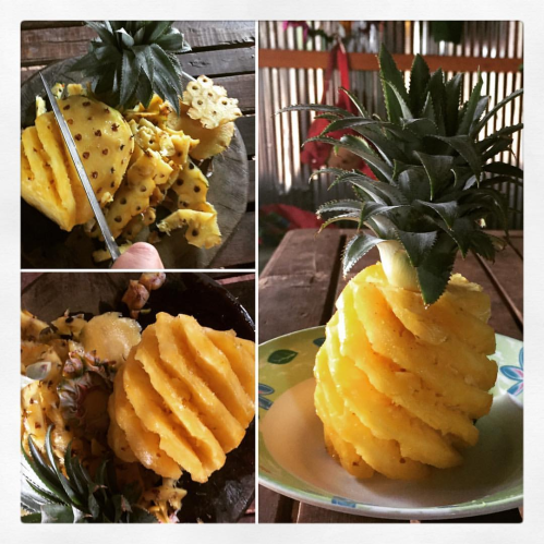 17880061_10213353649579754_5852824908589705376_o