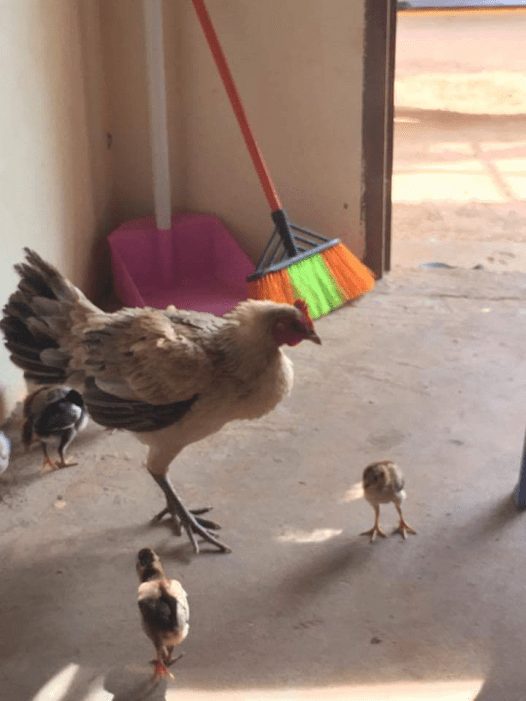 30A2739C-11D2-4C43-B6A5-BFAD8309F39E