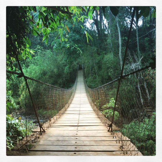 37B46AC9-8565-4A81-BCC2-3B3D3FD475C8