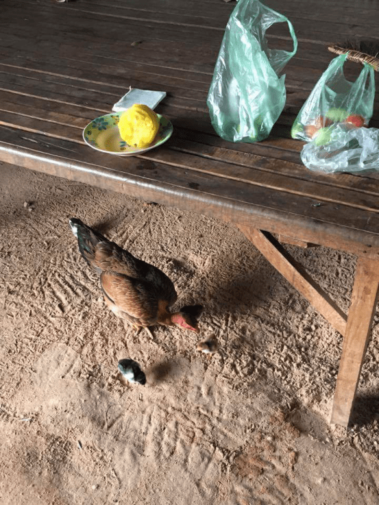 4AB90B72-7BCD-453E-9B0E-65DF3C87D437