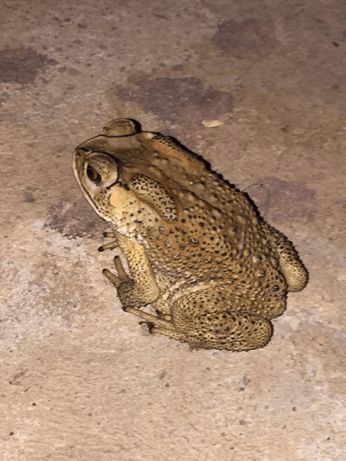 79AD79F2-568F-4CBF-B853-C60AE4A5B8DE