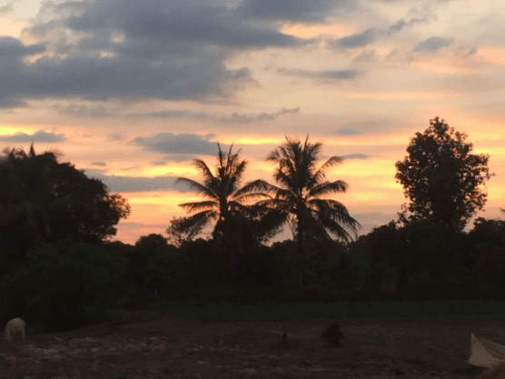 82C8F93B-BF70-4522-930A-9835C88DA082