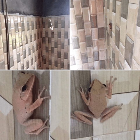 CAF568AB-4B48-4C46-86C9-C3E7AD6490DD