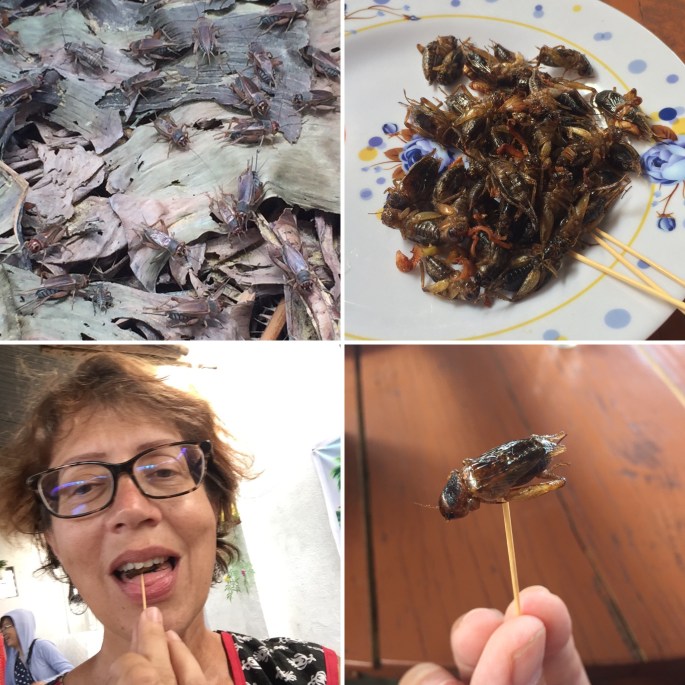 286DEB73-77A3-484D-B40D-73480474AEB7