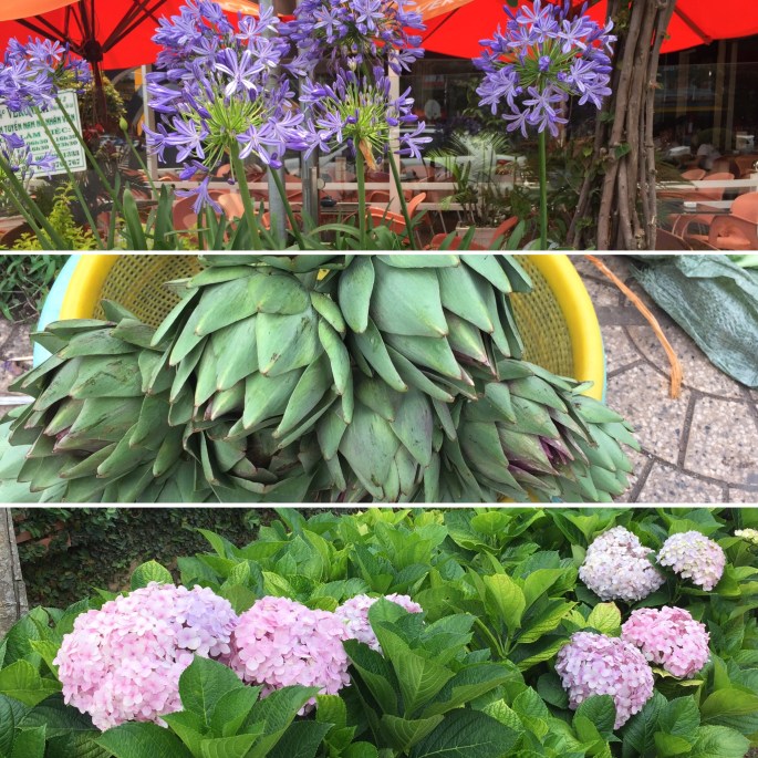 E99CD35A-47D3-4846-86C9-7336E11B3564