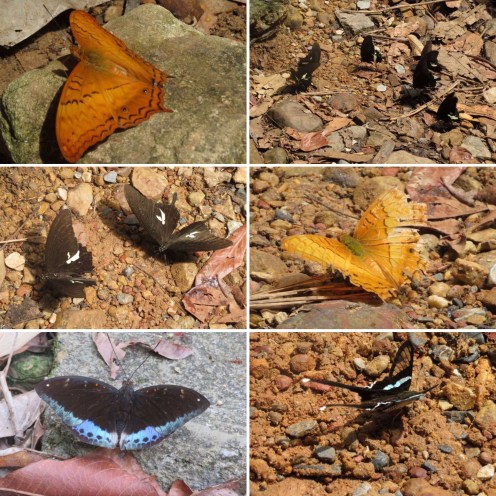 857B1C16-10D5-4463-97DD-CFD21CD15BBF