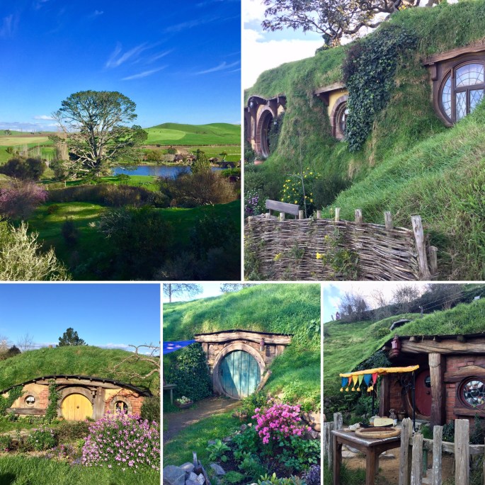 98BB6621-CE4A-42B9-B76E-29803156C7C7